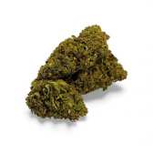 Fleur de CBD Sour Lime Haze Greenhouse