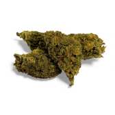 Fleur de CBD Chem Crush Greenhouse