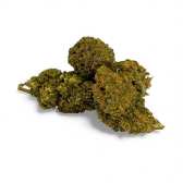 Fleur de CBD Chem Crush Greenhouse