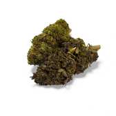 Fleur de CBD Mandarine Haze Greenhouse