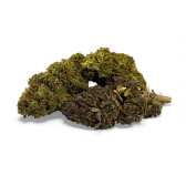 Fleur de CBD Mandarine Haze Greenhouse