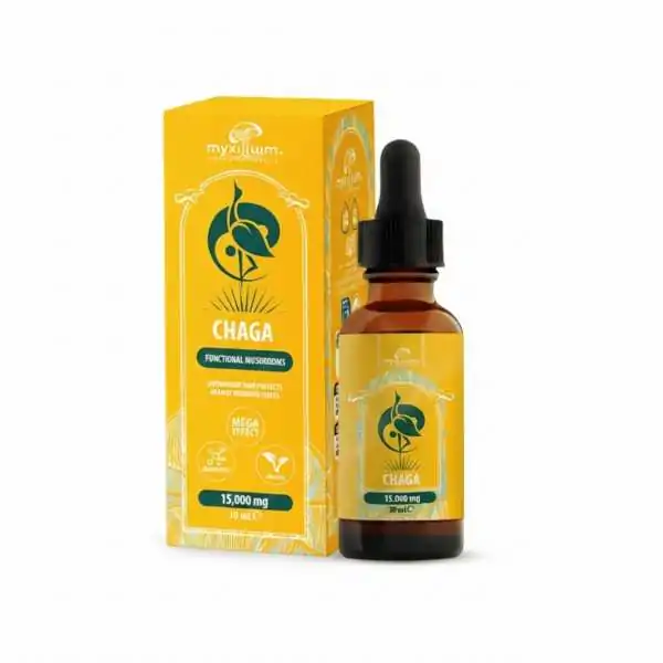 Extrait de Champignon Chaga...