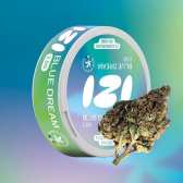 Fleur de CBD Blue Dream 2.5g - IZI