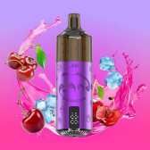 Puff Panda 25500 Cherry Ice 850mAh 22ml - JNR