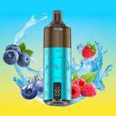 Puff Panda 25500 Blueberry Sour Raspberry 850mAh 22ml - JNR
