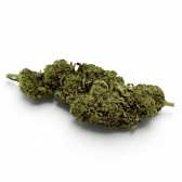 Fleur de CBD Super Skunk Indoor