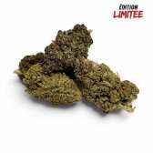 Fleur Purple Haze CBDX (CBD Xtrem) Indoor 20%