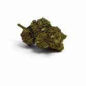 Fleur Candy Kush CBDX (CBD Xtrem) Greenhouse 20%