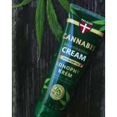 Crème mains au chanvre BIO - Soin nourrissant, 125 ml Palacio