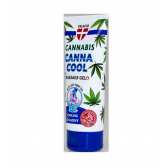Gel de massage au chanvre CANNACOOL effet rafraîchissant, 200 ml Palacio
