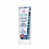 Gel de massage rafraîchissant CBD Chill, 200 ml Palacio