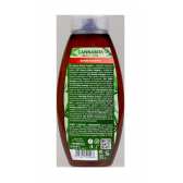 Shampooing Cannabis Romarin à l'Huile de Chanvre, 500 ml Palacio