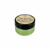 Baume à lèvres au chanvre BIO – Soin réparateur, 25 g Palacio