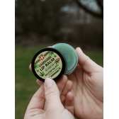Baume à lèvres au chanvre BIO – Soin réparateur, 25 g Palacio
