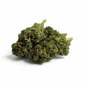 Fleur de CBD Tropical Haze Indoor