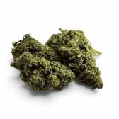 Fleur de CBD Tropical Haze Indoor