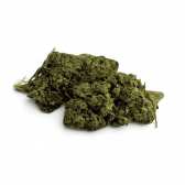 Fleur de CBD Tropical Haze Indoor