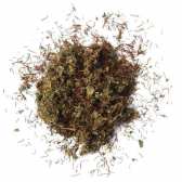 Mélange de plantes L'AVENTURIÈRE | Gros format 250 g