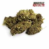 Fleurs CBD Purple Haze Greenhouse