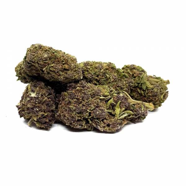 Fleur CBD purple haze Indoor