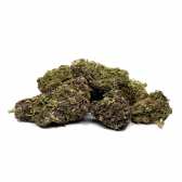 Fleur CBD purple haze Indoor
