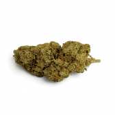 Fleur de CBD Orangello Indoor