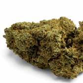 Fleur de CBD Orangello Indoor