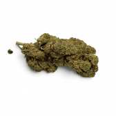 Fleur de CBD Plutonium Indoor