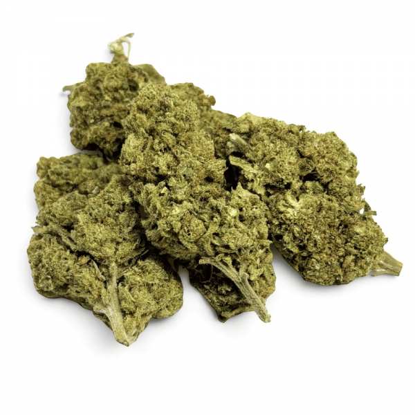 Fleur de CBD Great White...