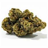 Fleur CBD Juicy Fruit - Indoor
