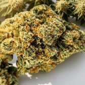 Fleur CBD Juicy Fruit - Indoor