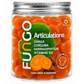 Gummies Articulations Chaga Curcuma Vitamine D3 | FUNGO