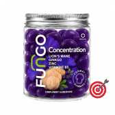 Gummies Concentration Lion's Mane Ginkgo Zinc Vitamine B5 | FUNGO