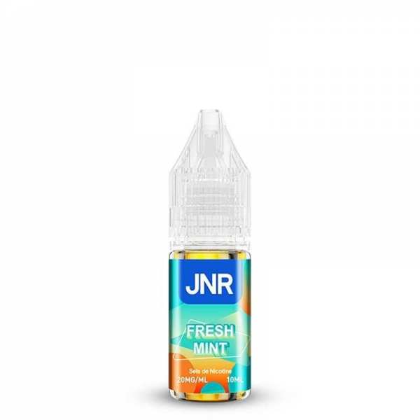E-liquide Fresh Mint 10ml...