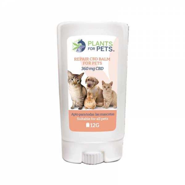 Baume CBD réparateur animaux light | PLANTS FOR PETS