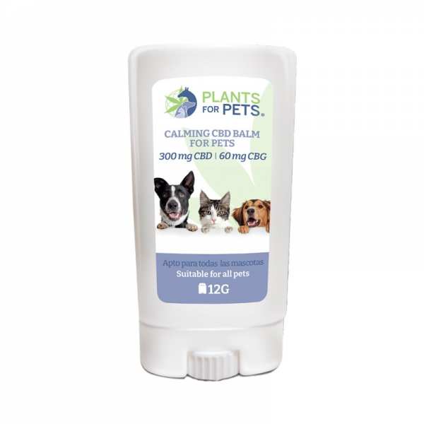 Baume CBD apaisant animaux light | PLANTS FOR PETS