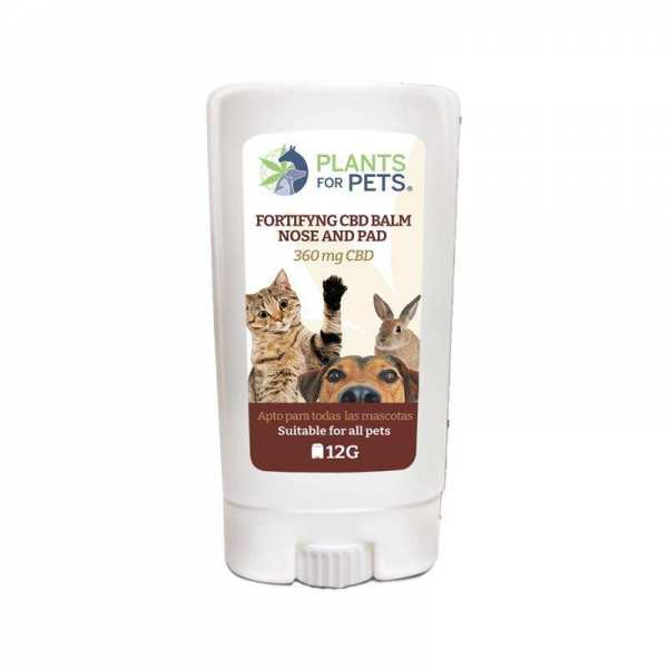 Baume CBD fortifiant...