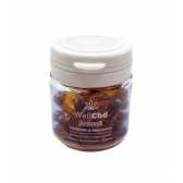 Gélule CBD sommeil | WELL CBD