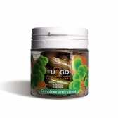 Gélule CBD & champignons anti-stress | FUNGO, NOVALOA