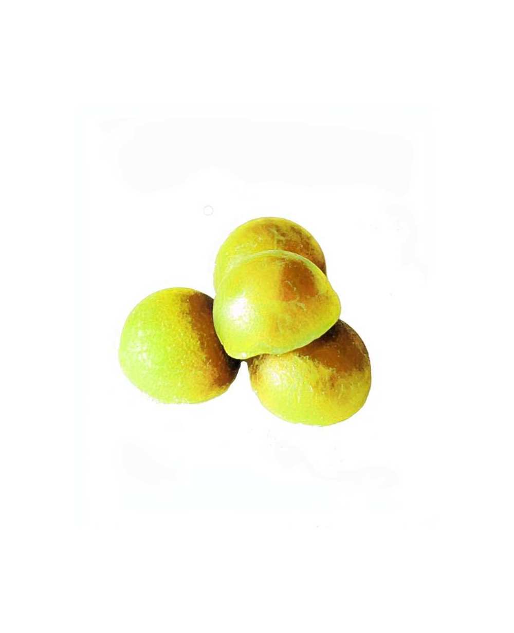 Sélection Bonbon cbd